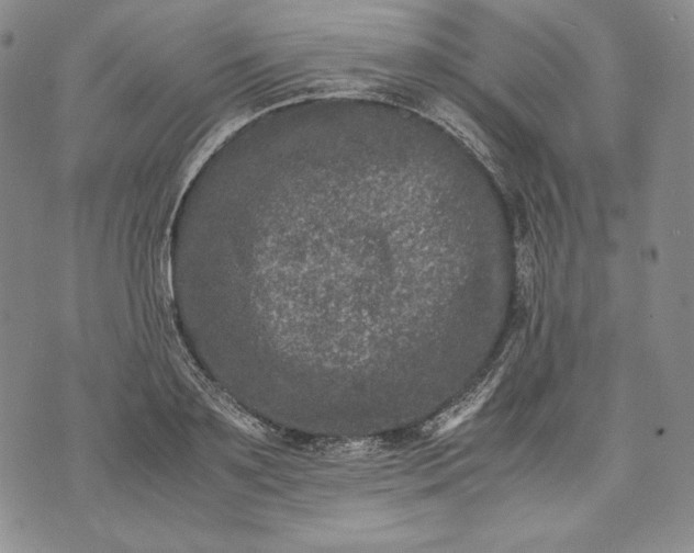 X0000071810891200607141607