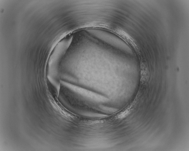 X0000071810892200607141607