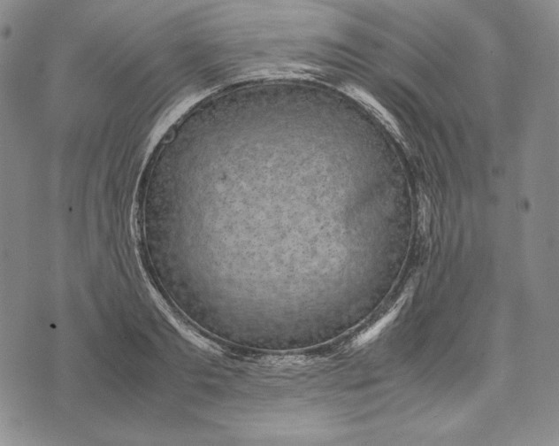 X0000071810893200607141607