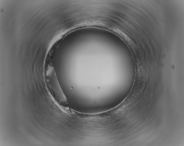 X0000071810894200607141607