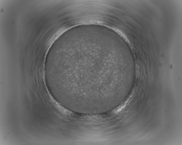 X0000071810895200607141607