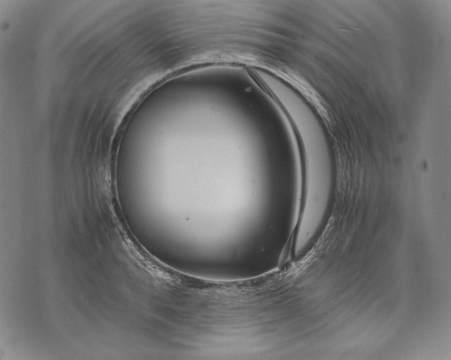 X0000071810896200607141607