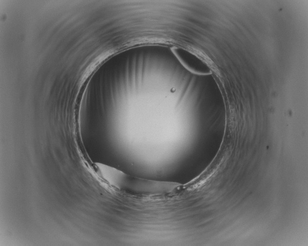 X0000071810898200607141607