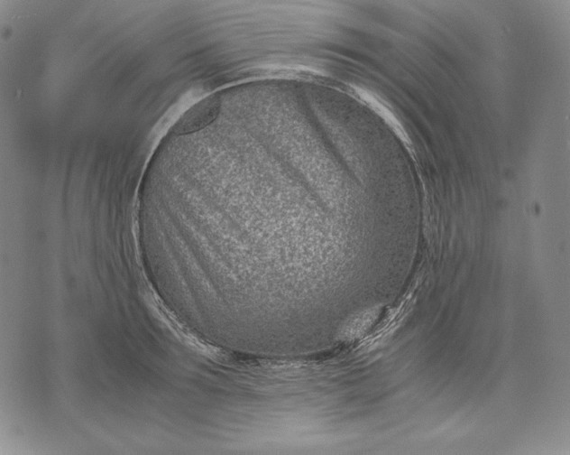 X0000071810899200607141607