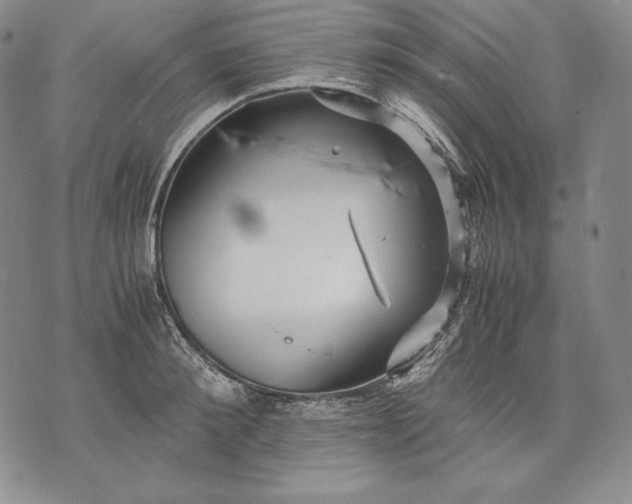 X0000071810900200607141607