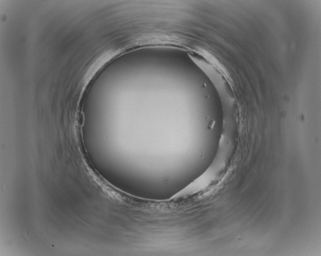 X0000071810901200607141607