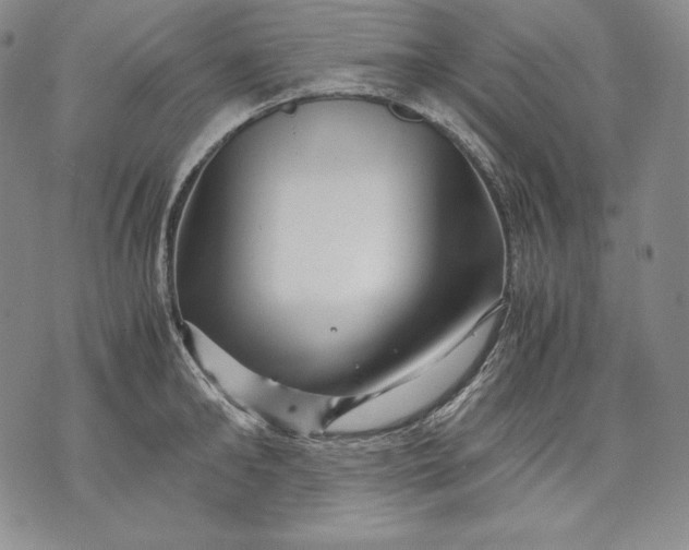 X0000071810902200607141607