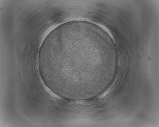 X0000071810903200607141607