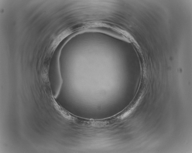 X0000071810905200607141607