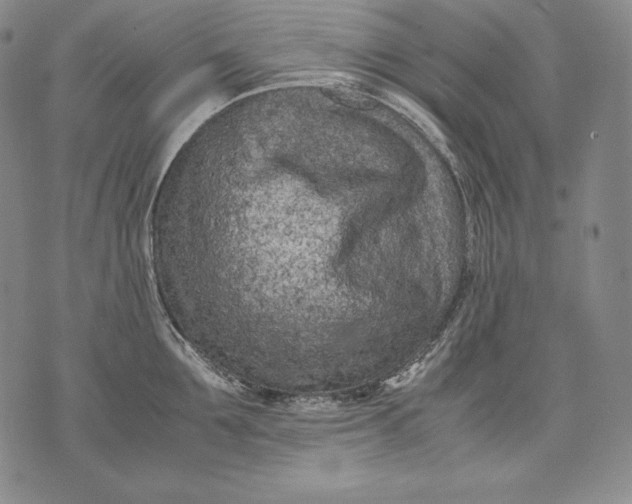 X0000071810907200607141607