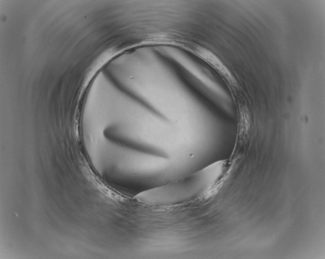 X0000071810908200607141607