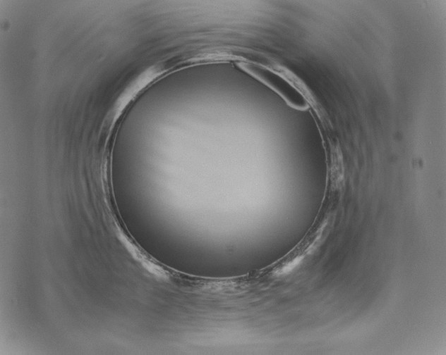 X0000071810909200607141607