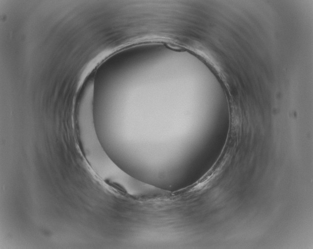 X0000071810910200607141607