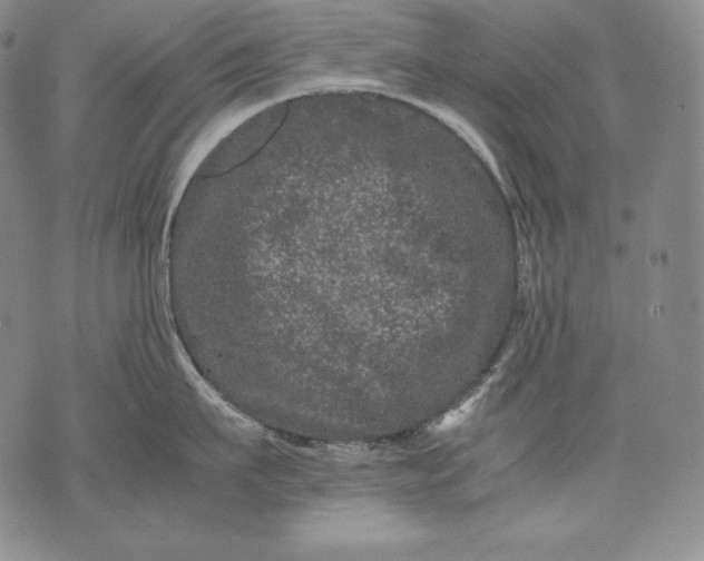 X0000071810911200607141607