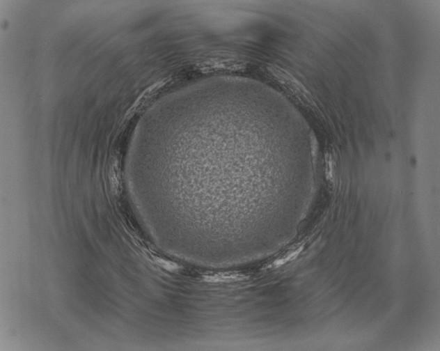 X0000071810915200607141606