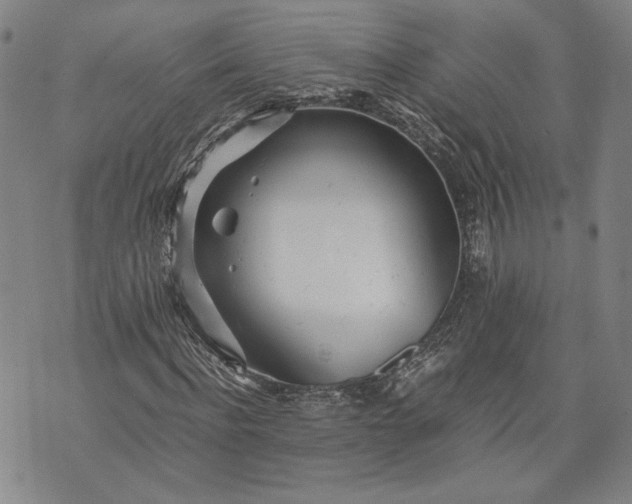 X0000071810916200607141606