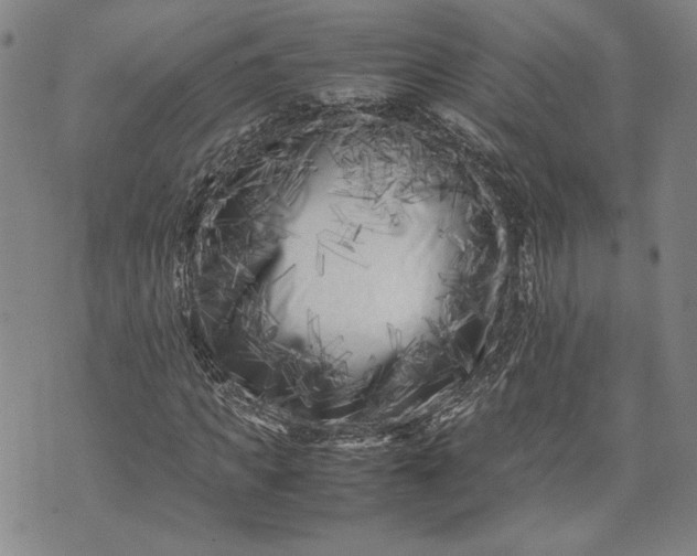 X0000071810917200607141606