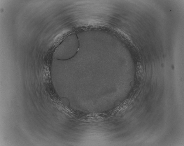 X0000071810918200607141606