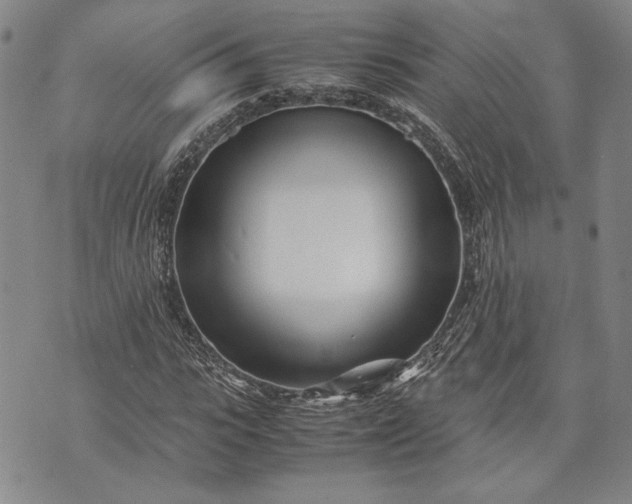 X0000071810919200607141606