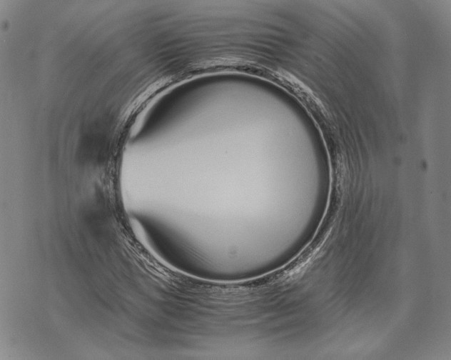 X0000071810921200607141606