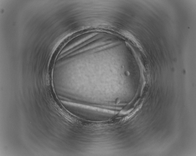 X0000071810924200607141606