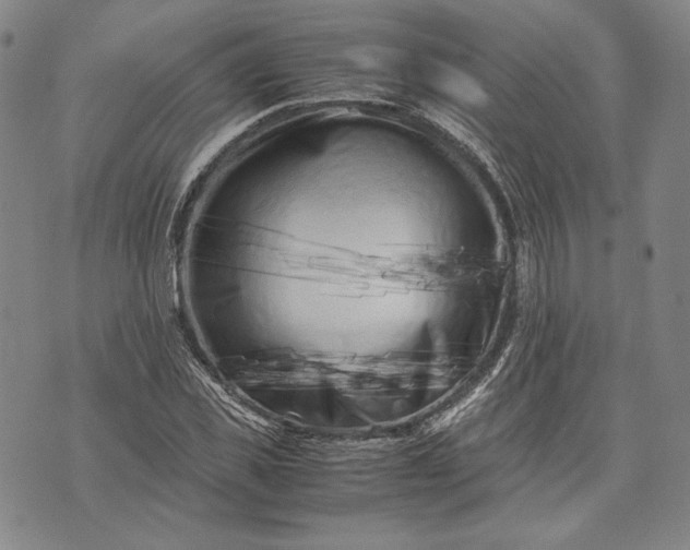 X0000071810925200607141606