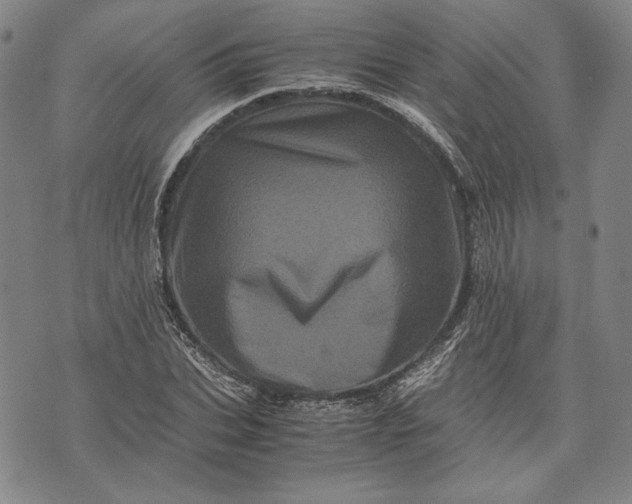 X0000071810927200607141606