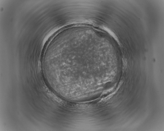 X0000071810928200607141606