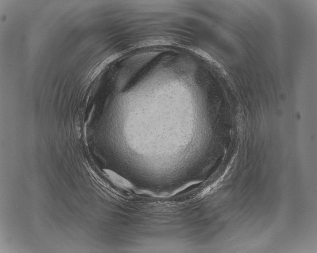 X0000071810929200607141607