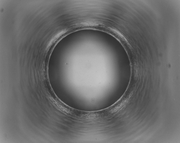 X0000071810930200607141607