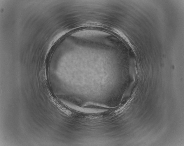 X0000071810931200607141607