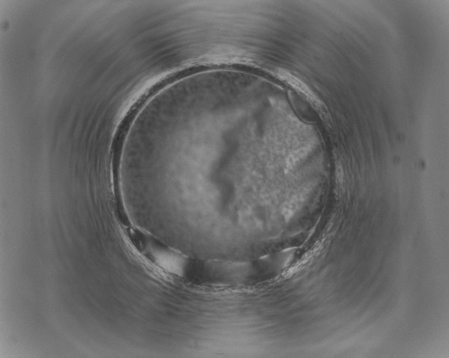 X0000071810934200607141607