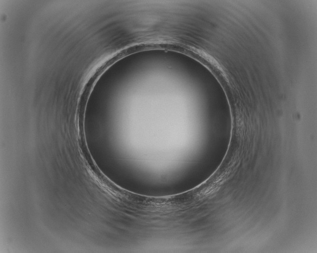 X0000071810935200607141607