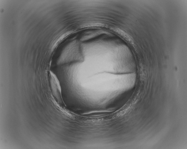 X0000071810937200607141607