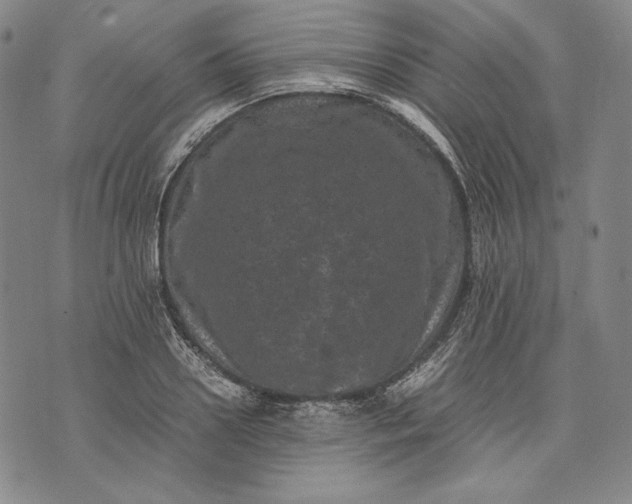 X0000071810938200607141607