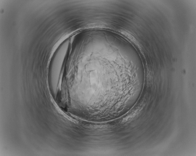 X0000071810941200607141607