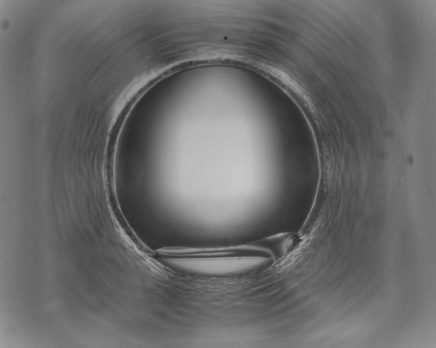 X0000071810943200607141607