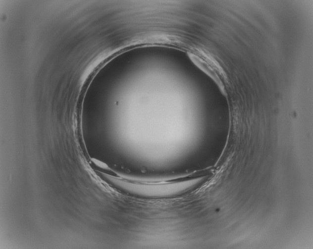 X0000071810944200607141607