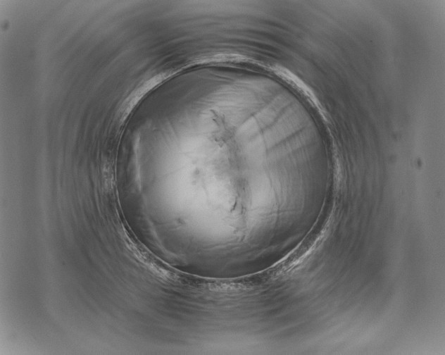 X0000071810945200607141607