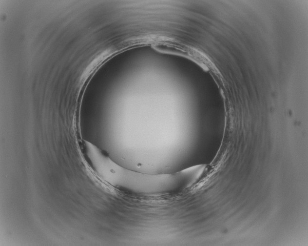 X0000071810946200607141607