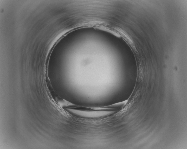 X0000071810948200607141607