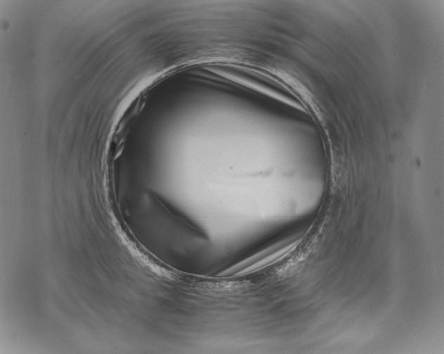 X0000071810949200607141607