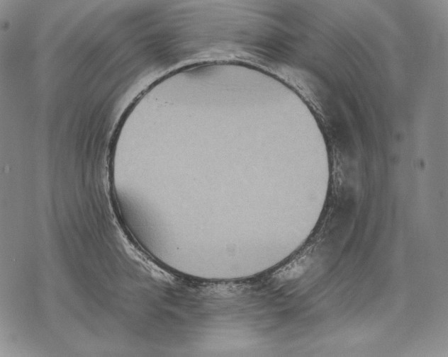 X0000071810950200607141607