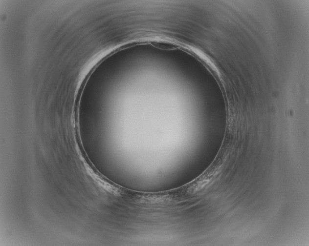 X0000071810951200607141607