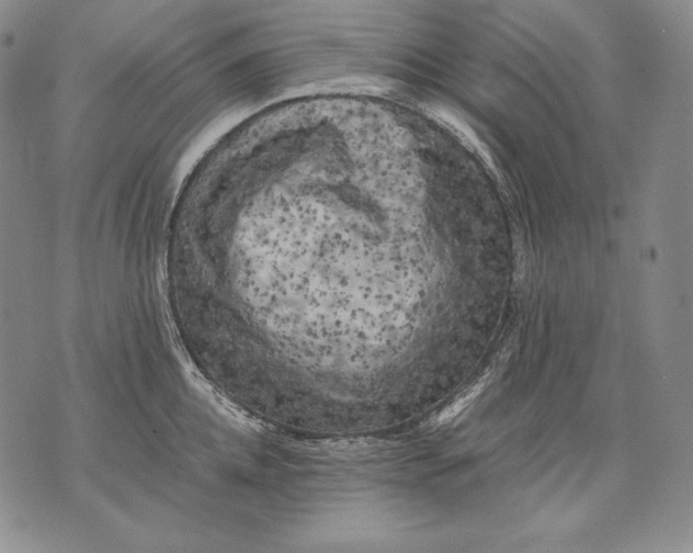 X0000071810952200607141607