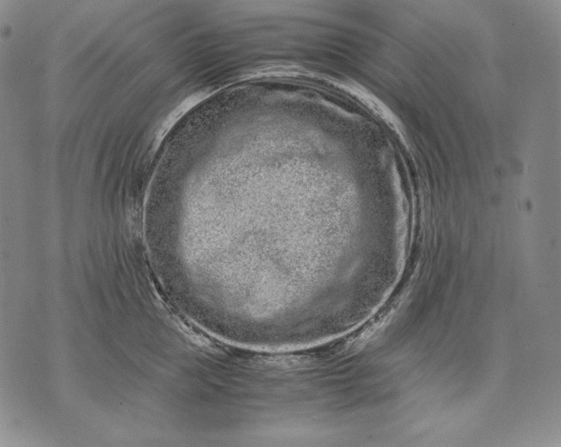 X0000071810953200607141607