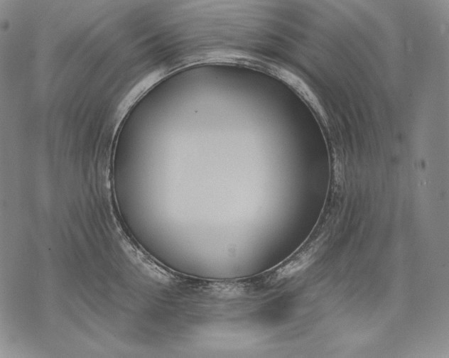 X0000071810954200607141607