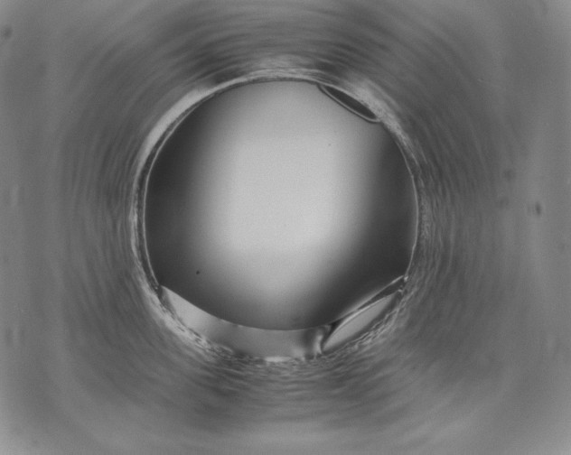 X0000071810955200607141607