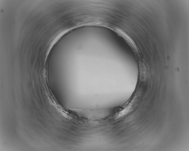 X0000071810956200607141607