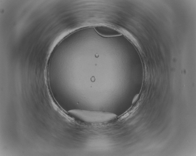 X0000071810958200607141607